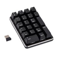 Mini .4G 21 Keys  Gaming Keyboard for Laptop - Blue switch