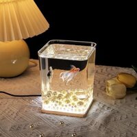 Mini Cá Betta Bể Cá Hộ Gia Đình Nhỏ Bể Cá Để Bàn Micro-Phong Cảnh Gian Hàng Khối Xây Hộp Có Đèn