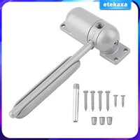 Mini Door Closer Fire Xếp hạng có thể điều chỉnh bề mặt Phần cứng cửa màu xám