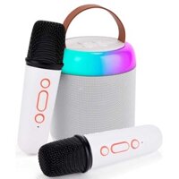 Mini Karaoke Machine with Two Wireless Microphones Portable Bluetooth Speaker