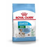 Mini Starter Royal Canin - Hạt cho chó mẹ và chó con 1KG