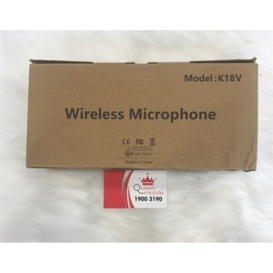 Mirco karaoke Excelvan K18V