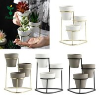 Miulika 3 Cái Nồi mọng nước bằng gốm Bắc Âu Chậu trồng hoa có chân đế bằng kim loại