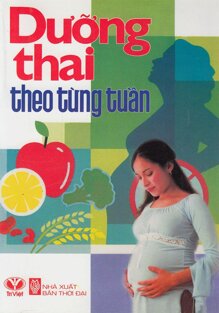 Dưỡng thai theo từng tuần