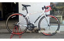 Xe đạp thể thao Giant OCR 2600 2016