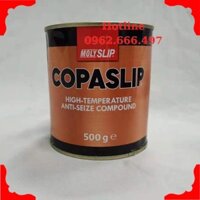 Mỡ đồng MolySlip CopaSlip