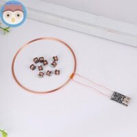 Mô-đun sạc điện không dây Vast 5V Cuộn dây LED không dây Bộ phát cuộn cảm ứng + 10 chiếc Đèn thu chiếu sáng Đồ chơi mô hình EN