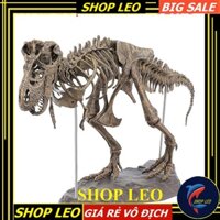 MÔ HÌNH BỘ XƯƠNG KHỦNG LONG - MÔ HÌNH TRANG TRÍ HỒ CÁ