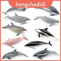 Mô hình cá heo cao Pvc chất lượng lý tưởng cho bộ sưu tập quà tặng sinh vật biển và