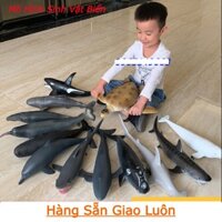 Mô hình cá mập cá voi chim cánh cụt cá mập xanh bằng cao su mềm size To đồ chơi trẻ em