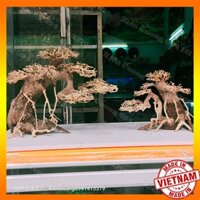 Mô hình Cây gỗ lũa thủy sinh Không tán SIZE nhỏ dùng cho bể cá cảnh