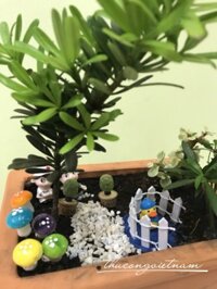 Mô hình chuối bóc vỏ