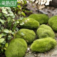 Mô Hình Đá Rêu, Đá Phủ Rêu Xanh Mô Phỏng (Nhiều size) Trang Trí Phụ Kiện Chụp Ảnh Sản Phẩm