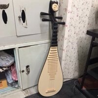 Mô hình đàn tỳ bà