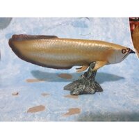 mô hình đồ chơi khủng long. Cá hắc long.