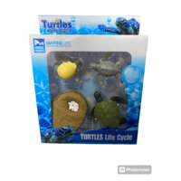 Mô Hình đồ chơi Set Vòng đời của Rùa