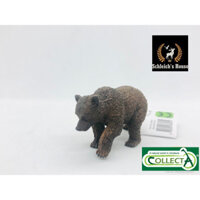 Mô hình động vật , đồ chơi con vật CollectA chính hãng Gấu nâu con 88561 - Schleich House