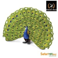 Mô hình động vật , đồ chơi con vật Safari Ltd chính hãng chim Công 264629 - Schleich House