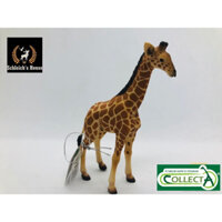 Mô hình động vật , đồ chơi con vật CollectA chính hãng Hươu cao cổ con 88535 - Schleich House