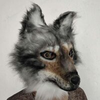 Mô Hình Động Vật Mô Phỏng Sói Chó Mặt nạ Sang Trọng Sang Trọng Mũ Đội Đầu Sang Trọng Đạo Cụ Ảnh Sói Xám Hiệu Suất Trang Phục