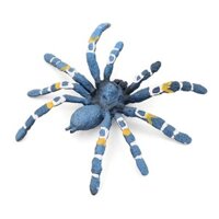 Mô hình động vật thực tế Nhện Tarantula ăn chim xanh Brazil Trang trí nhà cho trẻ em Cây cảnh trong chậu