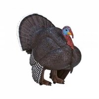 Mô hình Gà tây hoang (con trống)
