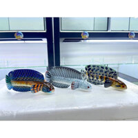 Mô Hình Gỗ Cá Lóc Đa Dạng - giúp tăng độ sung