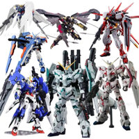 Mô hình Gundam MG Strike Freedom Red Vermillion Bird trưng bày Độc lạ Cao 18cm