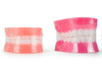 Mô hình hàm răng nhựa BB21144