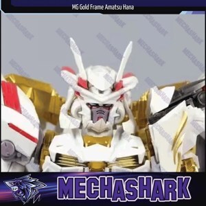 Mô hình lắp ráp RG 1/144 Gundam Astray Gold Frame Amatsu Hana