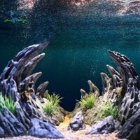 Mô Hình layout Hẻm Núi Đá trang trí bể cá, tiểu cảnh, non bộ. teranium chất liệu bột đá đen Ninh Bình