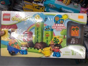 Mô hình Lego Duplo - Khu vườn đầu tiên của bé 10819