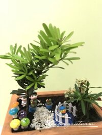 Mô hình ly coffee Starbucks