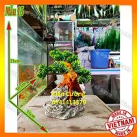 Mô Hình Núi - Hòn non Bộ - Trang Trí Bể cá (Mẫu 15).