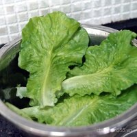 Mô hình rau giả lá rau diếp lớn mô phỏng nhựa mới, lá sen giả, kẹp tóc lá rau diếp, thảm đĩa ăn