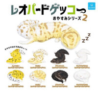 mô hình tắc kè ngủ say