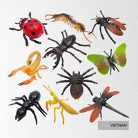 Mô hình thế giới Côn trùng rất đẹp và sắc nét như thật - Đồ chơi nhựa dẻo côn trùng