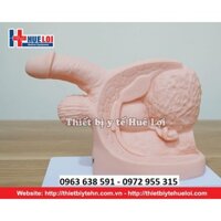 Mô hình thực hành đặt thông tiểu nam