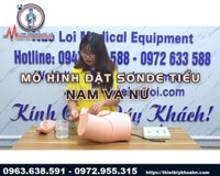 Mô hình thực hành đặt thông tiểu nam nữ