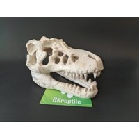 Mô hình trang trí sọ khủng long cho chuồng nuôi