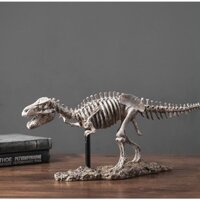 Mô Hình Xương Khủng Long Hóa Thạch Size To 45cm
