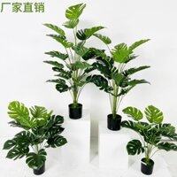 Mô Phỏng Cây Xanh Nhỏ Chậu Cây Rùa Lưng Rải Hương Đuôi Hoa Hướng Dương Phòng Khách Trong Nhà Trang Trí Sàn Nhà Hoa Giả Vật Trang Trí Máy Tính Để Bàn