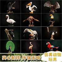 Mô Phỏng Động Vật Mô Hình Tay Làm Đồ Chơi Trẻ Em Con Công Vẹt Mô Hình Động Vật Chim Lớn Chim Đồ Chơi Động Vật Trẻ Em