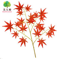 Mô phỏng nhiều màu đơn lá phong khắc nguyên liệu cành cây xanh lá cây lá phong đỏ đám cưới Lễ hội chụp nền