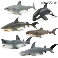 Mô Phỏng Sinh Vật Biển Mô Hình Megalodon Sát Thủ Cá Voi Cá Mập Đầu Búa Cá Mập Cá Mập Trắng Lớn Đồ Chơi Trẻ Em Nhận Thức 3-6 Tuần