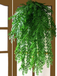 Mô Phỏng Sophora Japonica Lá Và Chlorophytum Trang Trí Cây Nhựa Lá Xanh Treo Tường Hoa Giả Và G