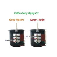 Mô Tơ 220V Quay Gà Vịt 60KTYZ 14W Motor 220V Động Cơ 220V Giảm Tốc 220V
