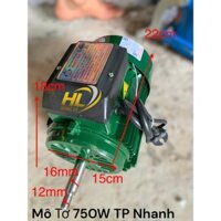 Mô Tơ 750W TP Nhanh trục 16mm Phụ tùng máy nạo sắn,máy tái chuối cỏ,máy sát gạo,ô tô,thóc,nông lâm ngư nghiệp