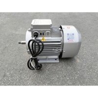 Mô tơ điện 1 pha 2HP dùng điện 220v tua nhanh 2900v/p