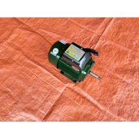 Mô tơ điện 1 pha Toàn Phát 750w 2900 vòng/phút